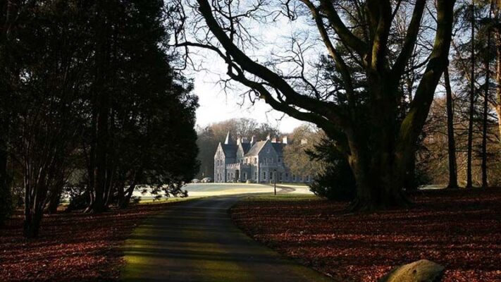 mount-falcon-estate-ireland-5