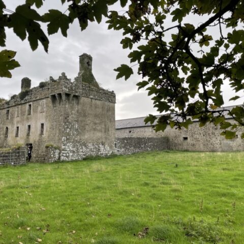 8FBD3304-7849-471B-856B-5CAFCC9A4CA1_1_105_c