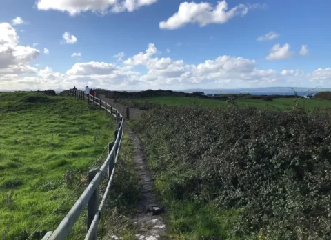 BF5A3543-EB30-4804-B9A3-4EC0FC668714_1_105_c