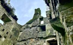 C3D20685-301C-4ECC-86EE-6465A99E6093_1_105_c