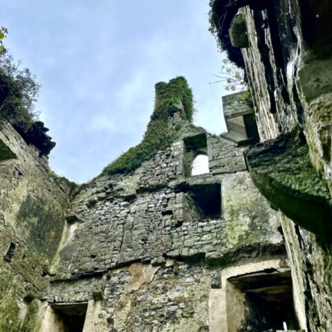 C3D20685-301C-4ECC-86EE-6465A99E6093_1_105_c