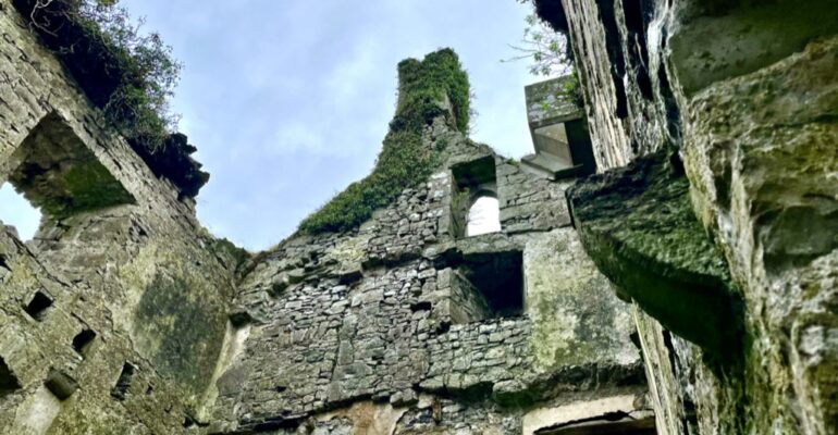 C3D20685-301C-4ECC-86EE-6465A99E6093_1_105_c