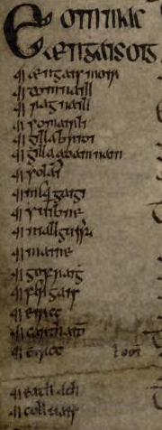 Folio 81 recto of the Great Book of Lecan (RIA MS 23 P 2)