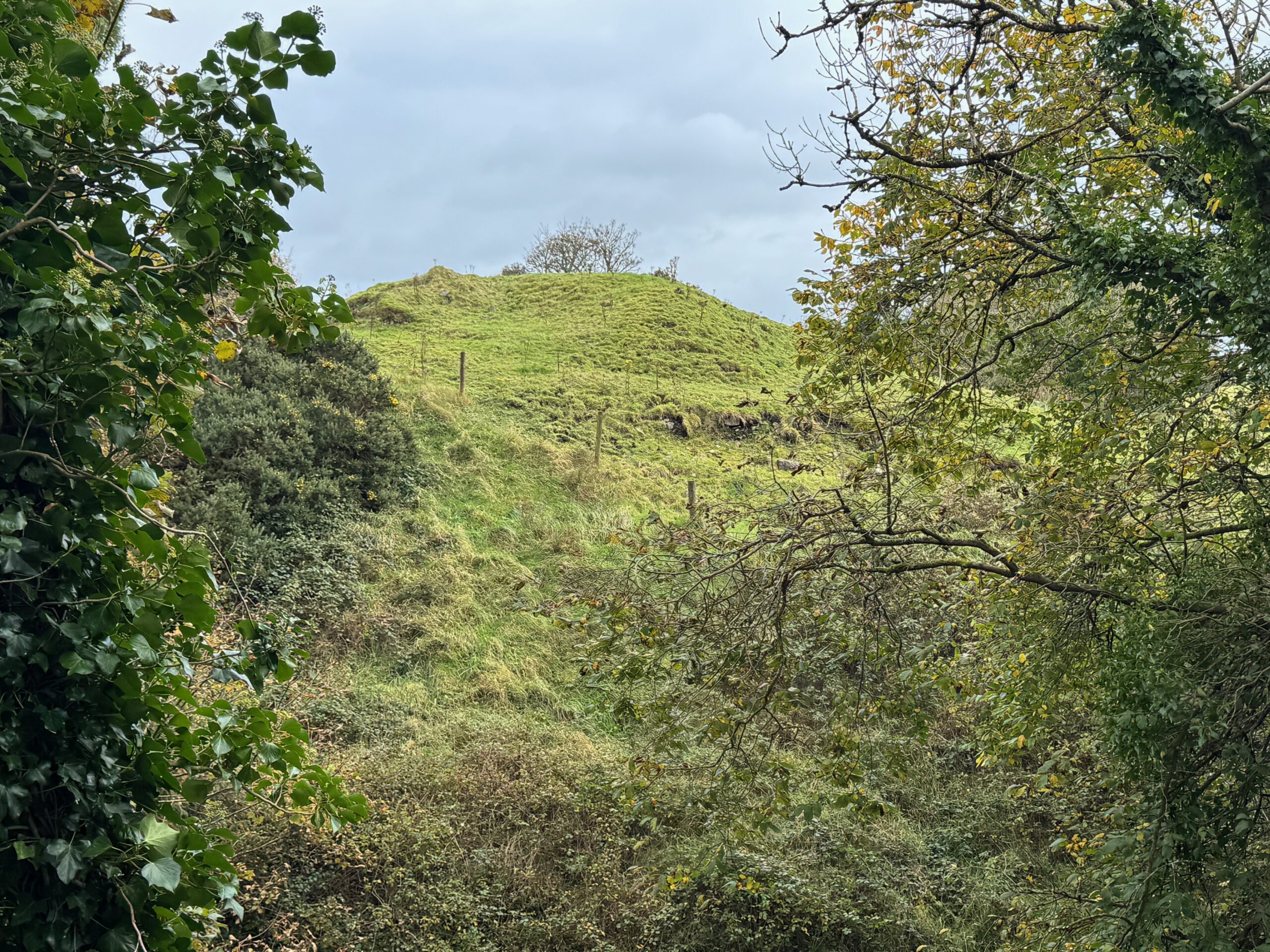 The raised mound at Dunneill, site of the original O'Dubhda castle near Dromore West, County Sligo