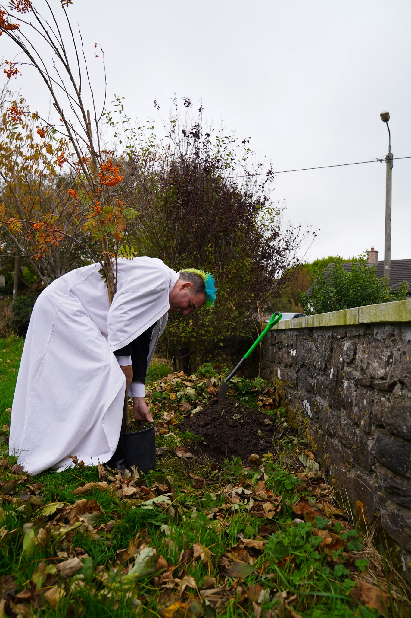 The rowan sapling being planted at the 2025 inauguration