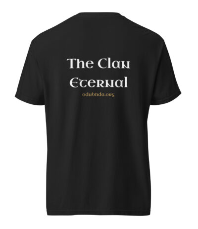 unisex-garment-dyed-heavyweight-t-shirt-black-back-6a18fb9c83efd.jpg