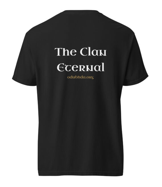 unisex-garment-dyed-heavyweight-t-shirt-black-back-6a18fb9c83efd.jpg