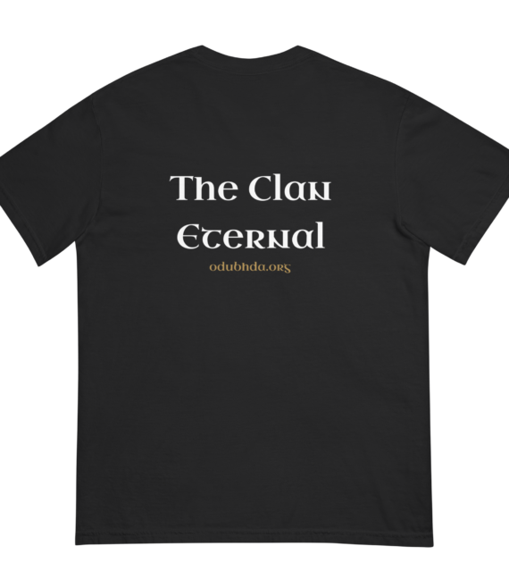 unisex-garment-dyed-heavyweight-t-shirt-black-back-6a1a44829d0e4.png