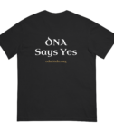 unisex-garment-dyed-heavyweight-t-shirt-black-back-6a1a4b0465373.png