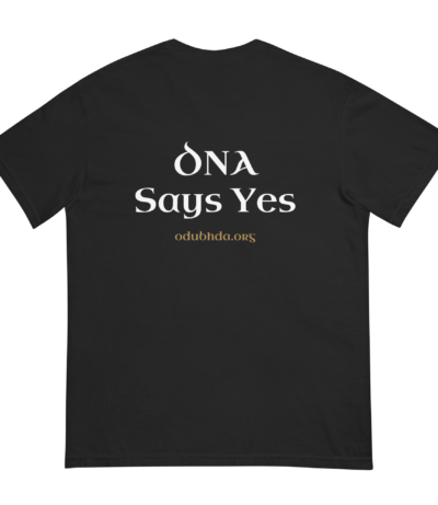 unisex-garment-dyed-heavyweight-t-shirt-black-back-6a1a4b0465373.png
