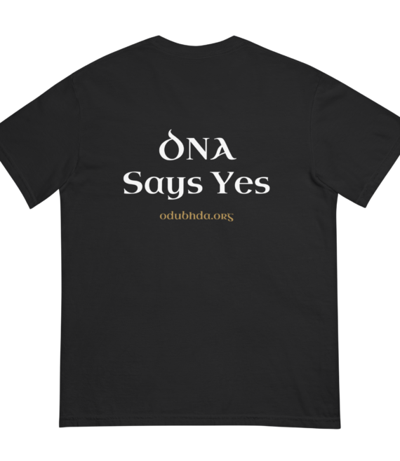 unisex-garment-dyed-heavyweight-t-shirt-black-back-6a1a4b0465373.png
