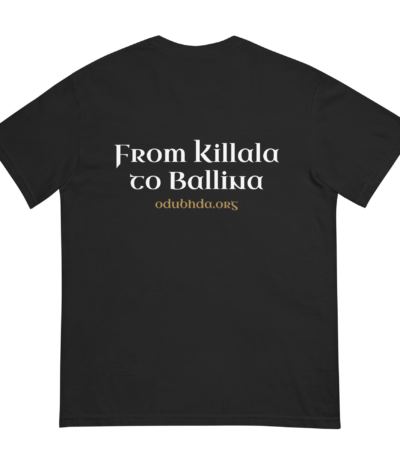 unisex-garment-dyed-heavyweight-t-shirt-black-back-6a1a4b3723db5.png