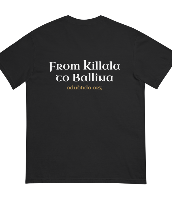 unisex-garment-dyed-heavyweight-t-shirt-black-back-6a1a4b3723db5.png