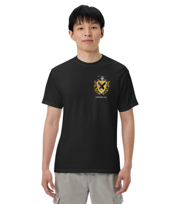 unisex-garment-dyed-heavyweight-t-shirt-black-front-6a18fb9c7deea.jpg