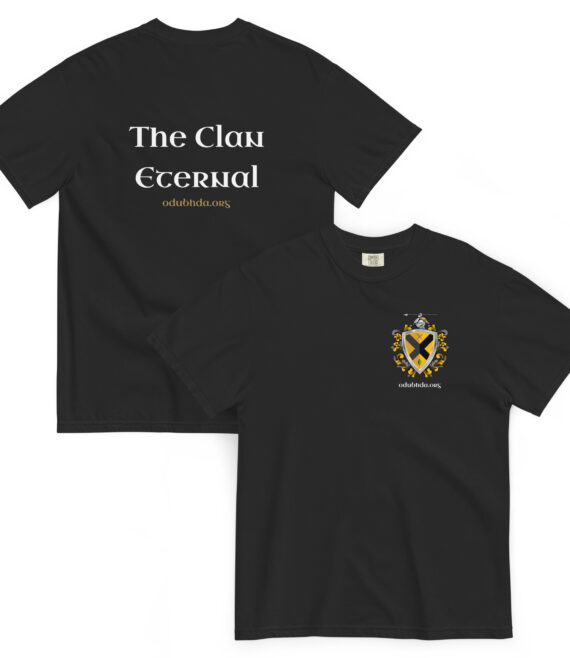 unisex-garment-dyed-heavyweight-t-shirt-black-front-and-back-6a18fb9c885df.jpg