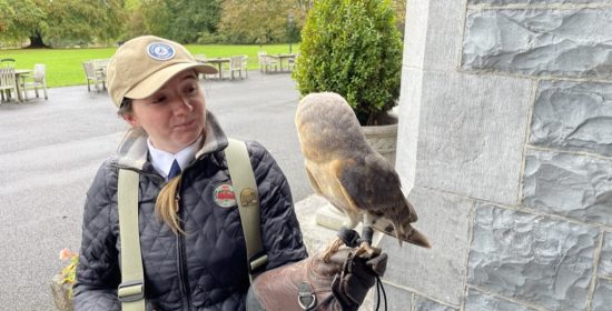 29BB85B2-5EEF-4902-A0EE-7E3FC30C42BA_1_105_c