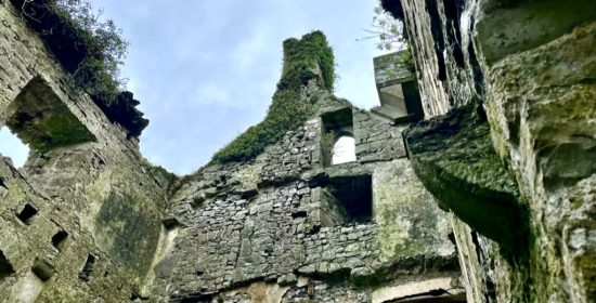 C3D20685-301C-4ECC-86EE-6465A99E6093_1_105_c